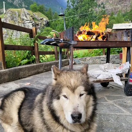 Casavacanze A Valtournenche * Singlin