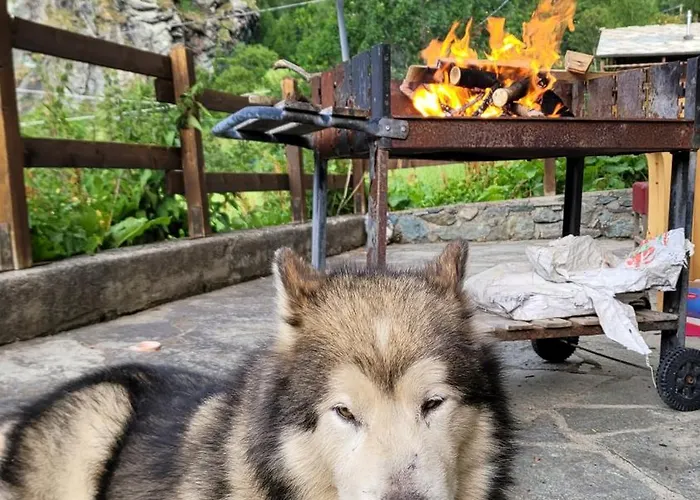 Casavacanze A Valtournenche * Singlin